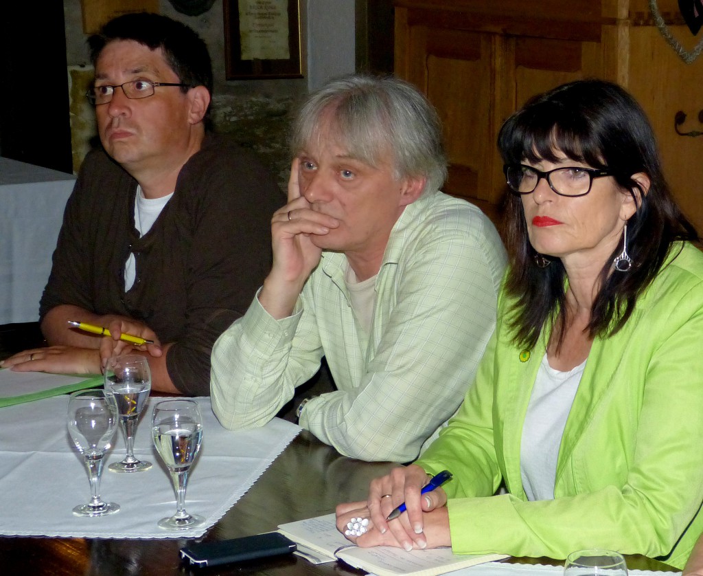 2014-05-19 Grüne Land Kreis VG (3)